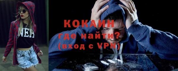 ПСИЛОЦИБИНОВЫЕ ГРИБЫ Новозыбков