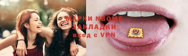 ПСИЛОЦИБИНОВЫЕ ГРИБЫ Новозыбков