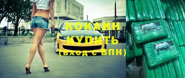 ПСИЛОЦИБИНОВЫЕ ГРИБЫ Новозыбков