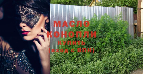 ПСИЛОЦИБИНОВЫЕ ГРИБЫ Новозыбков
