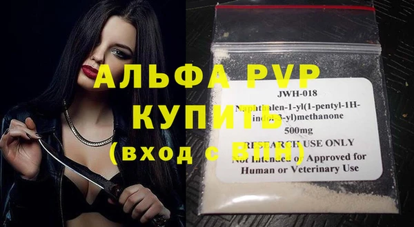 ПСИЛОЦИБИНОВЫЕ ГРИБЫ Новозыбков