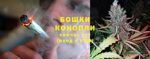 стаф Няндома