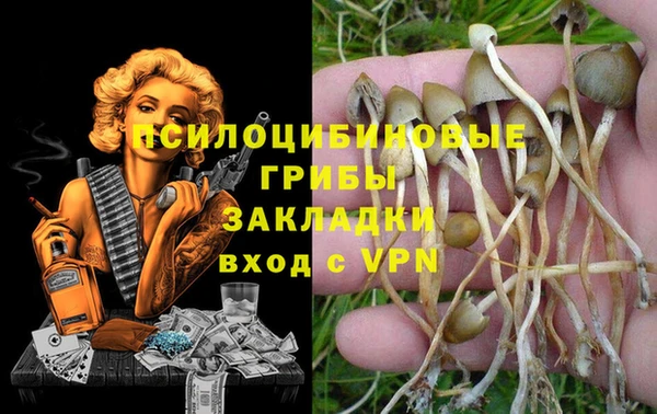 прущая мука Новокубанск