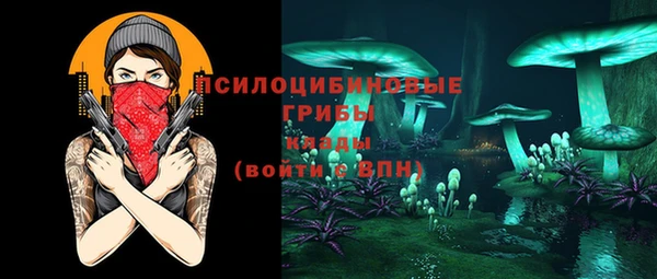 ПСИЛОЦИБИНОВЫЕ ГРИБЫ Новозыбков