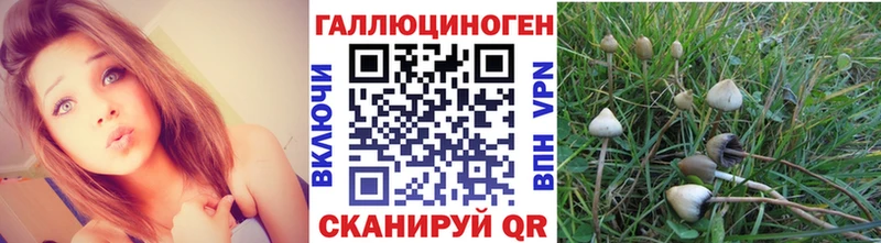 Галлюциногенные грибы MAGIC MUSHROOMS hydra зеркало Оса купить наркоту